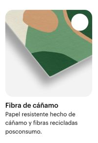 9. FIBRA DE C&Aacute;&Ntilde;AMO 